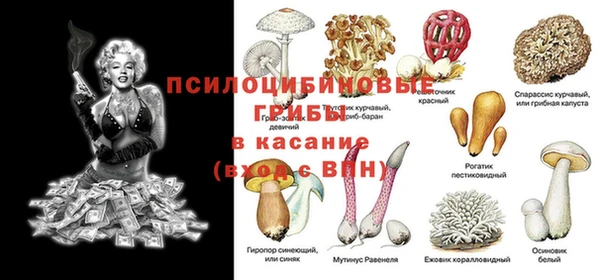 стаф Белоозёрский